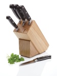 Knife with Oak Wood Storage Block, Set of 5