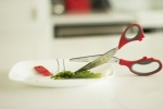 Herb Kitchen Scissors (Shears) with 5 Stainless Steel Blades
